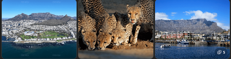 Flights to South Africa