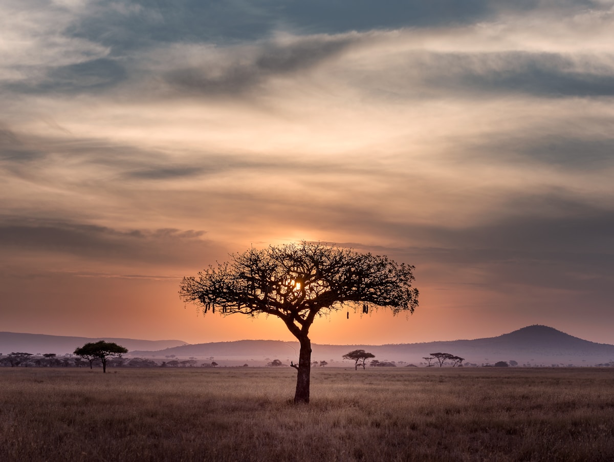 Dar es Salaam Tanzania travel destination