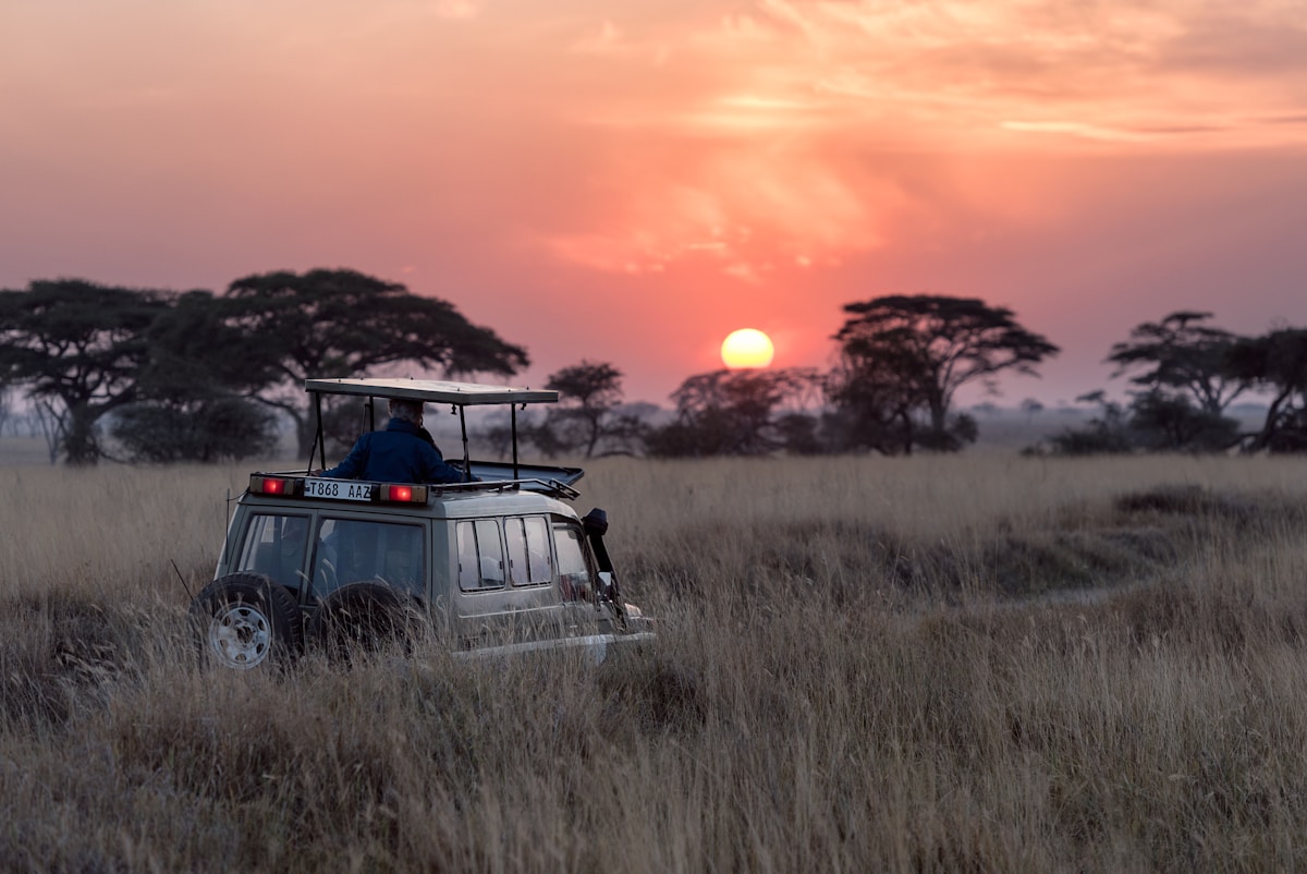Serengeti Tanzania safari wildlife