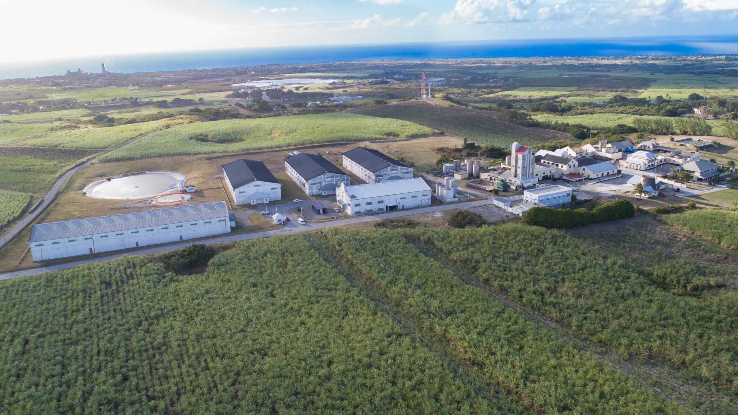 Mount Gay Rum Distillery Barbados surrounded by sugar cane fields